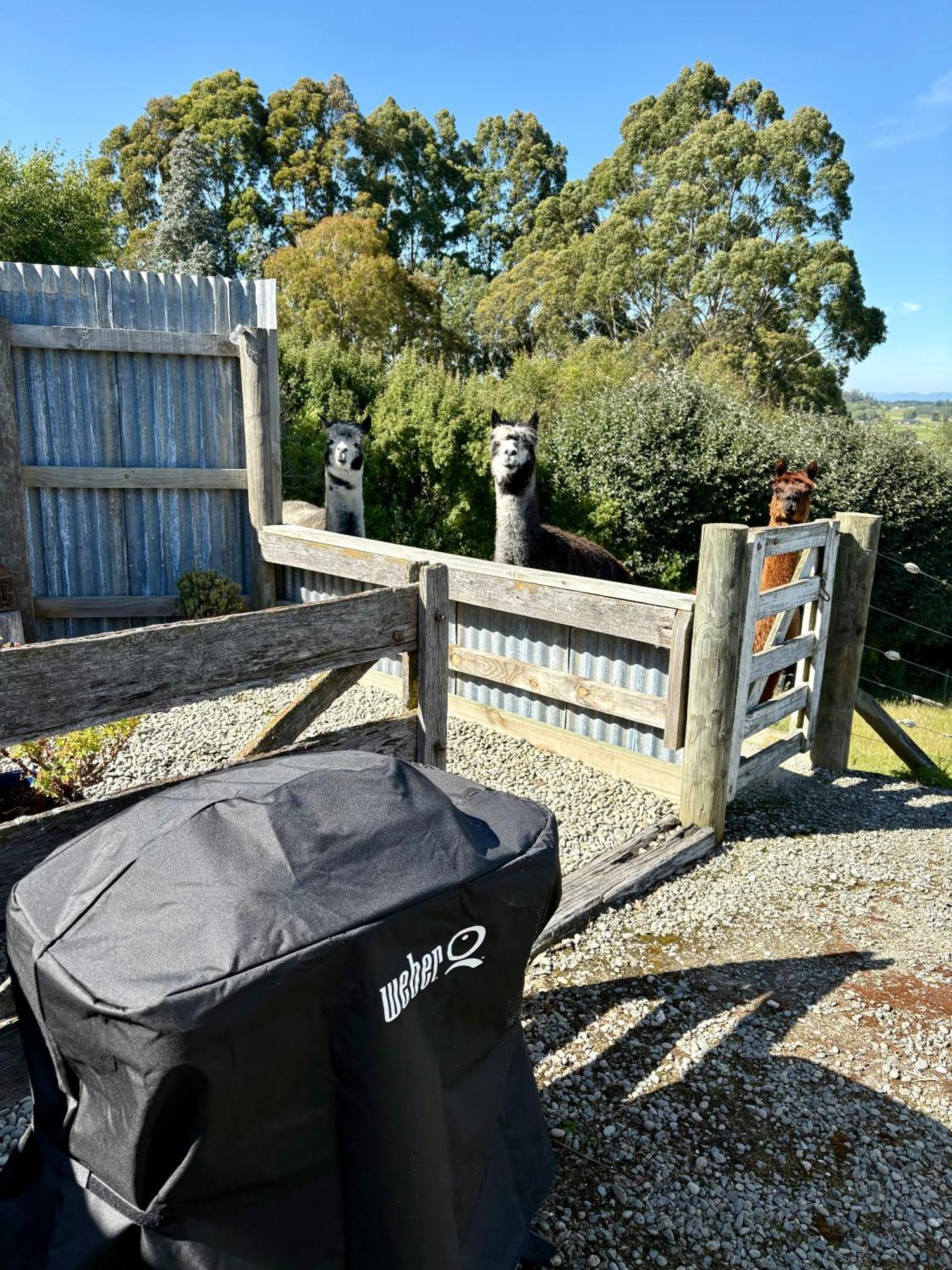 The Shepherd'S Rest Oamaru Extérieur photo